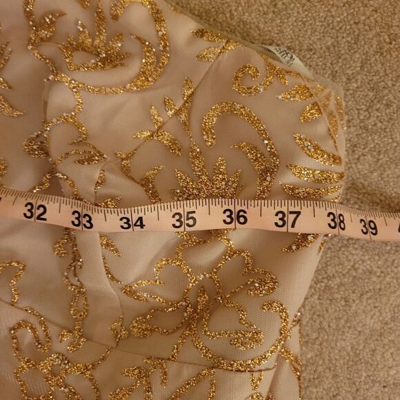 Gorgeous 15 Roses pink dress with gold overlay design NWT - Picture 10 of 10